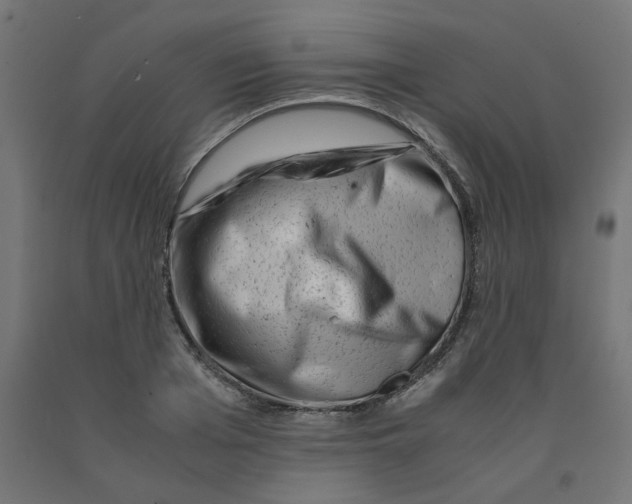 X0000090880985200708241937