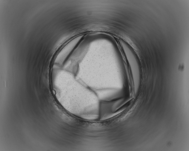 X0000090880986200708241937