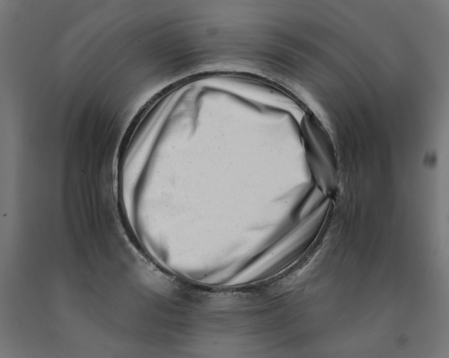 X0000090880988200708241937