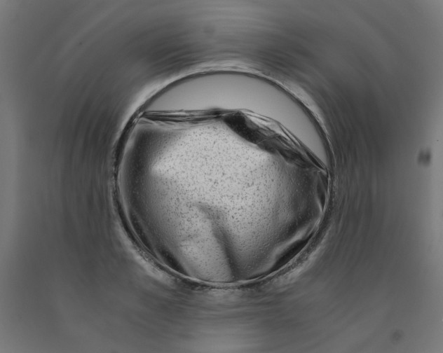 X0000090880989200708241937