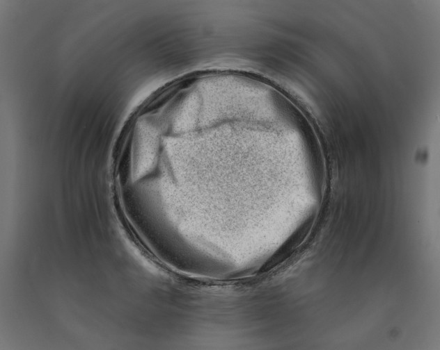 X0000090880990200708241937