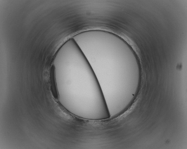 X0000090880993200708241937