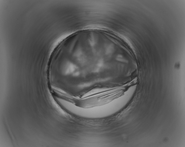 X0000090880995200708241937