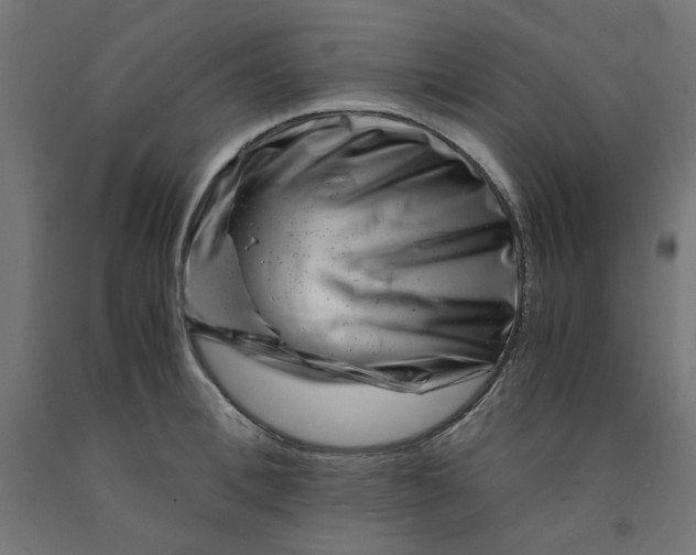 X0000090880996200708241937