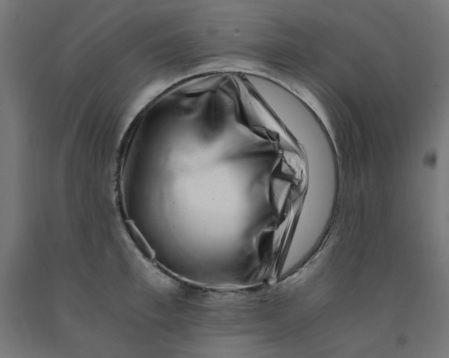 X0000090880997200708241937