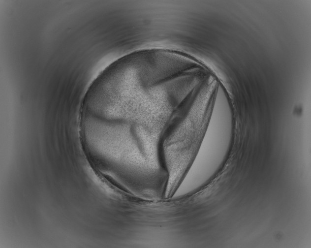 X0000090880998200708241937