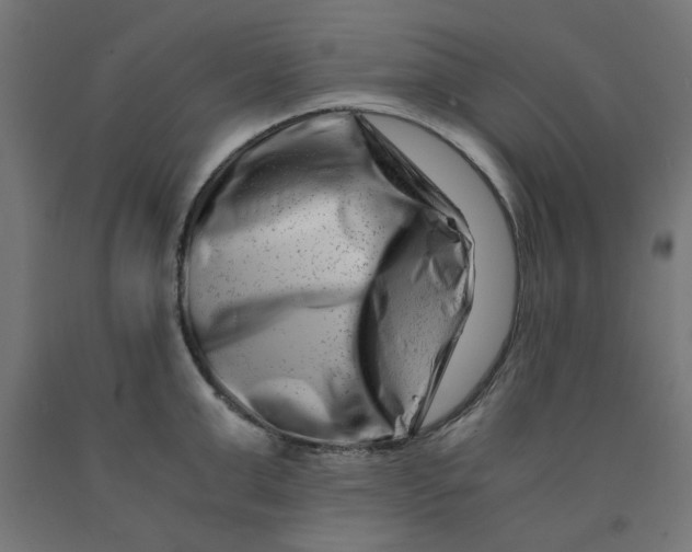 X0000090880999200708241937