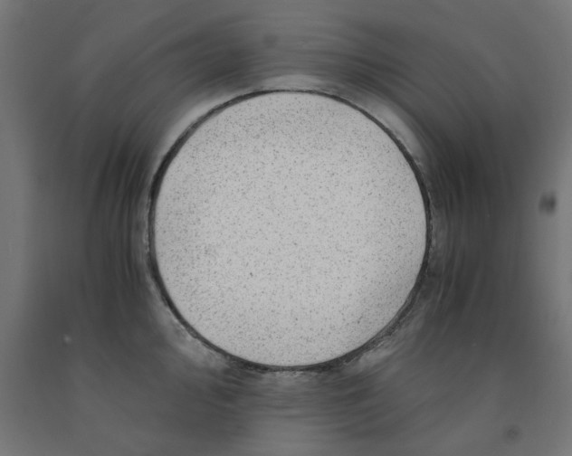 X0000090881000200708241937