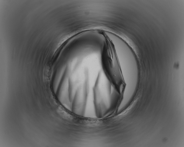 X0000090881001200708241937