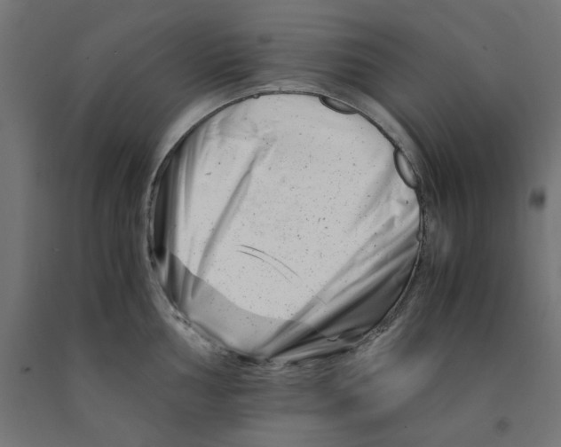 X0000090881002200708241936