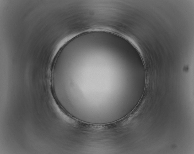 X0000090881003200708241936