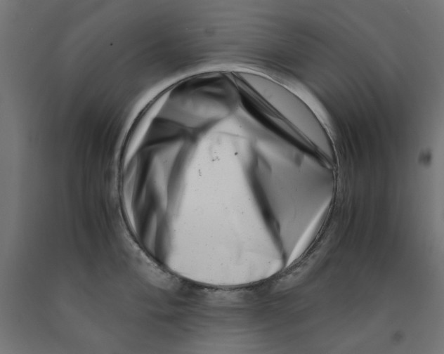 X0000090881004200708241936