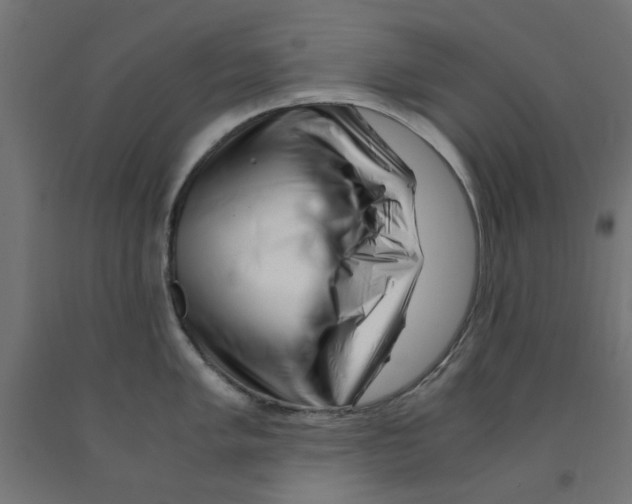 X0000090881005200708241936