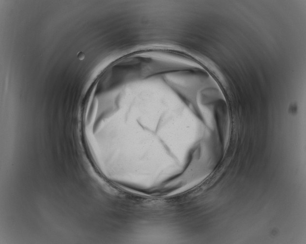 X0000090881006200708241936