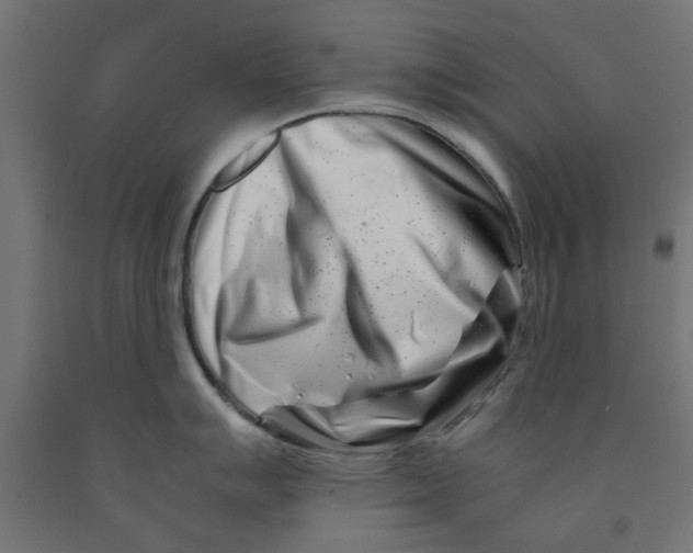 X0000090881007200708241936