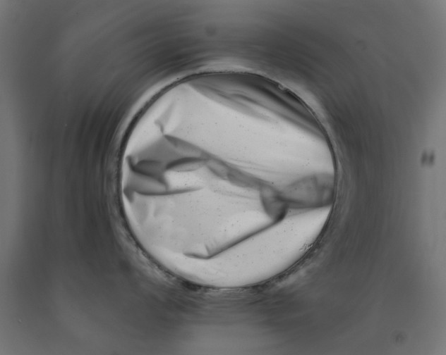 X0000090881008200708241936