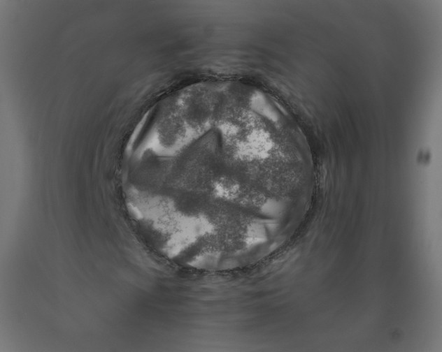 X0000090881009200708241936