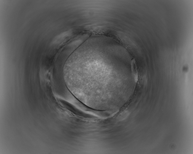 X0000090881010200708241936