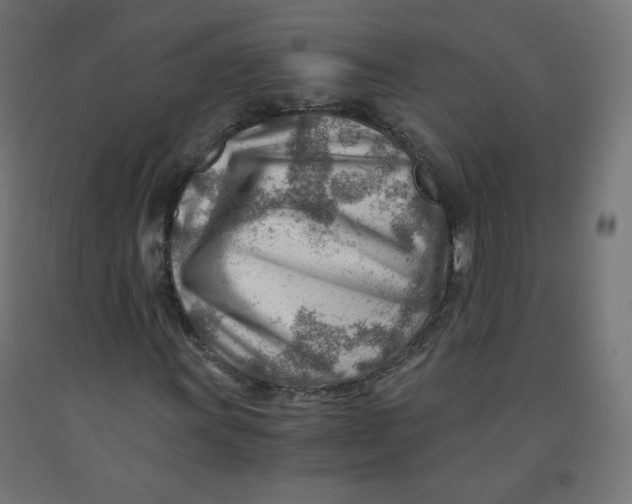 X0000090881011200708241936