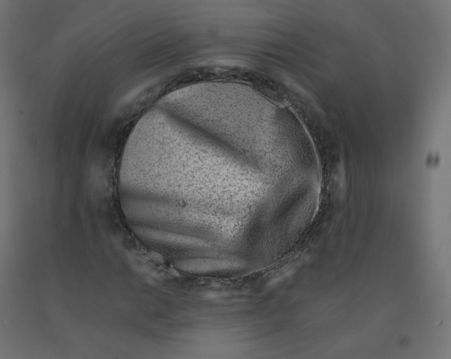 X0000090881014200708241936