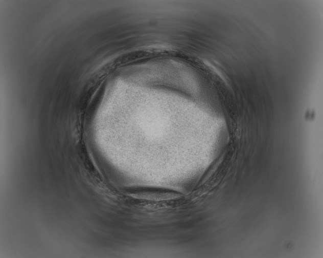 X0000090881015200708241936