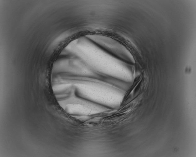 X0000090881016200708241936