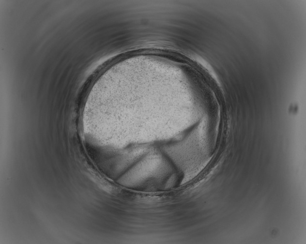 X0000090881019200708241936