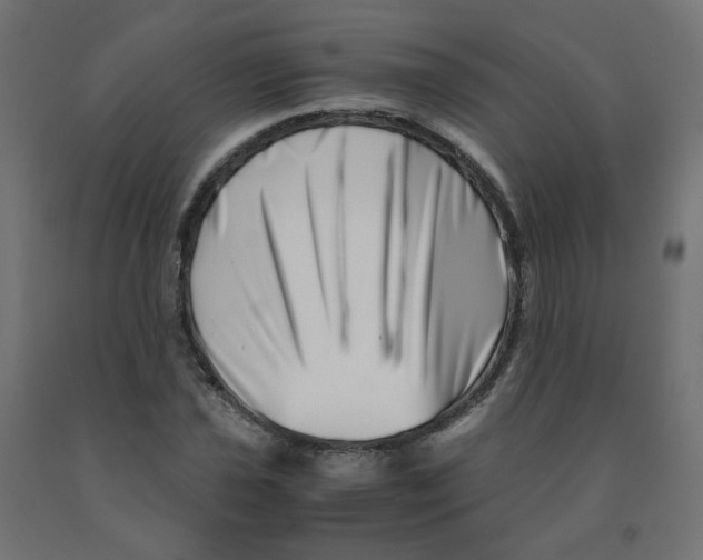 X0000090881021200708241936