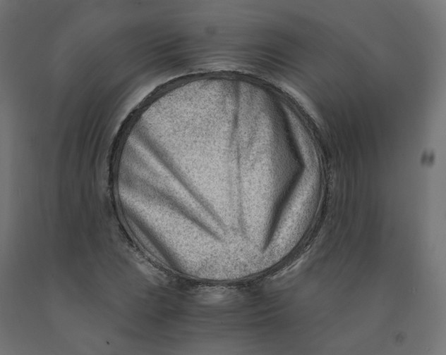 X0000090881023200708241936