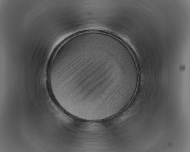 X0000090881024200708241936