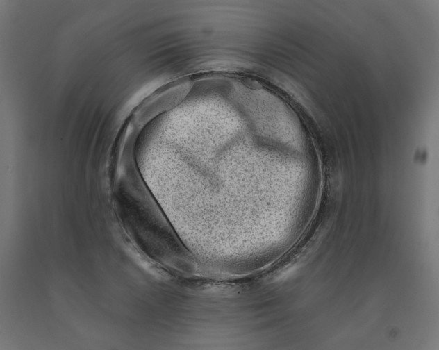 X0000090881026200708241936