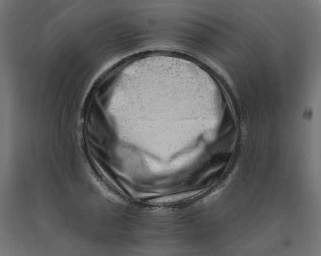 X0000090881029200708241936