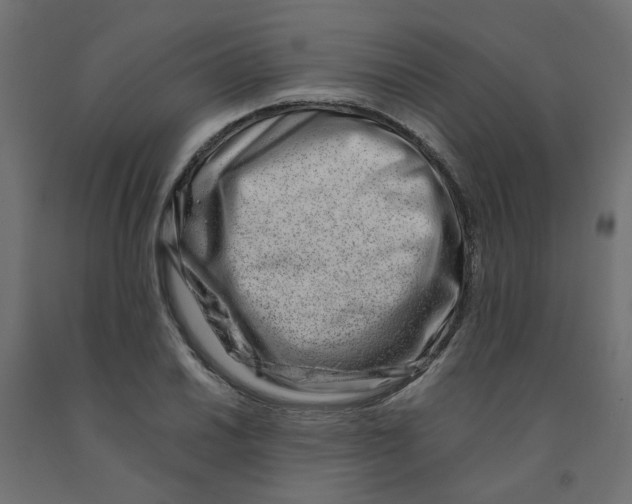 X0000090881030200708241936