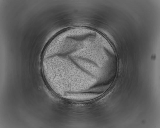 X0000090881031200708241936