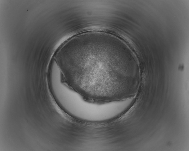 X0000090881034200708241936