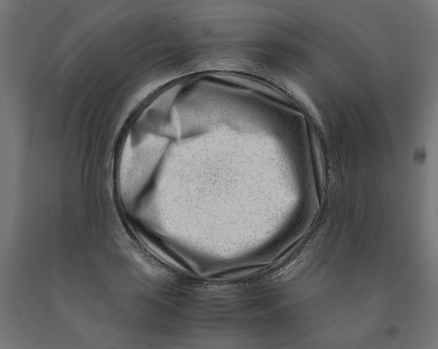 X0000090881035200708241936