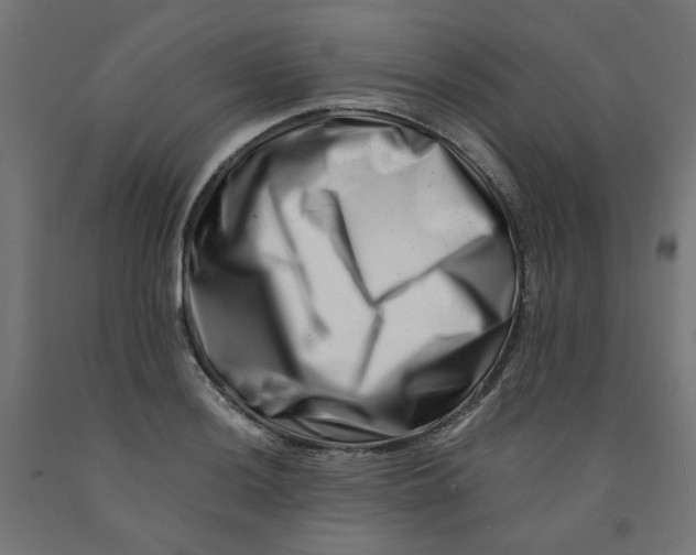 X0000090881036200708241936