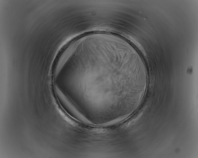 X0000090881037200708241936