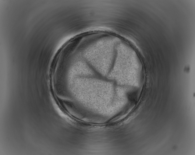 X0000090881038200708241936