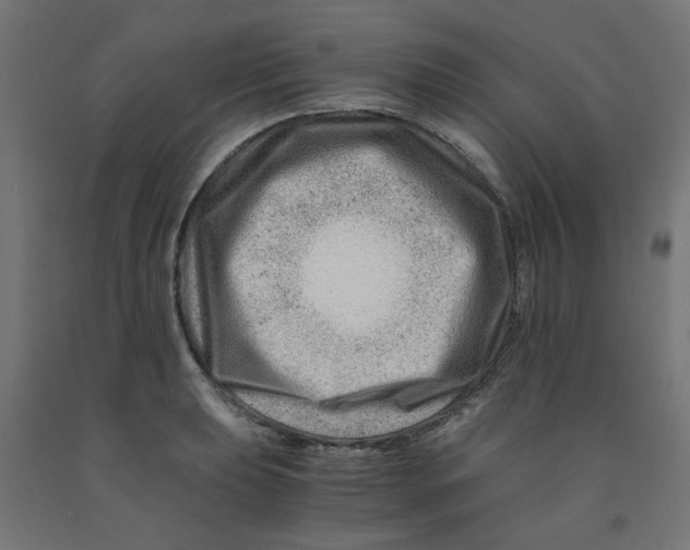 X0000090881039200708241936