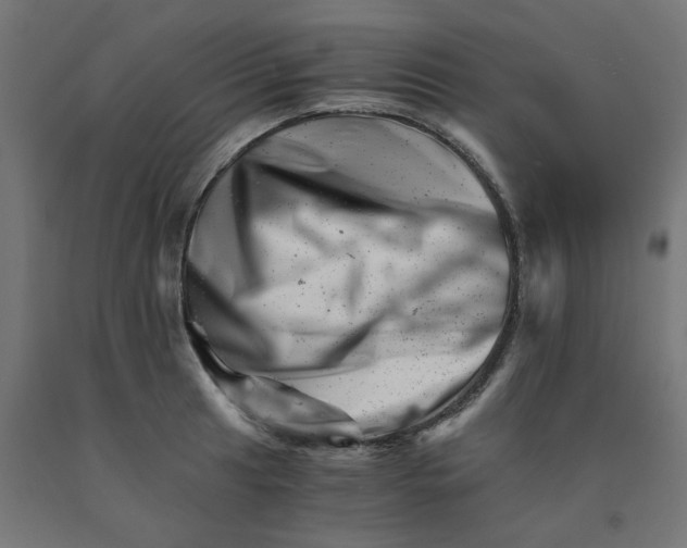 X0000090881041200708241936