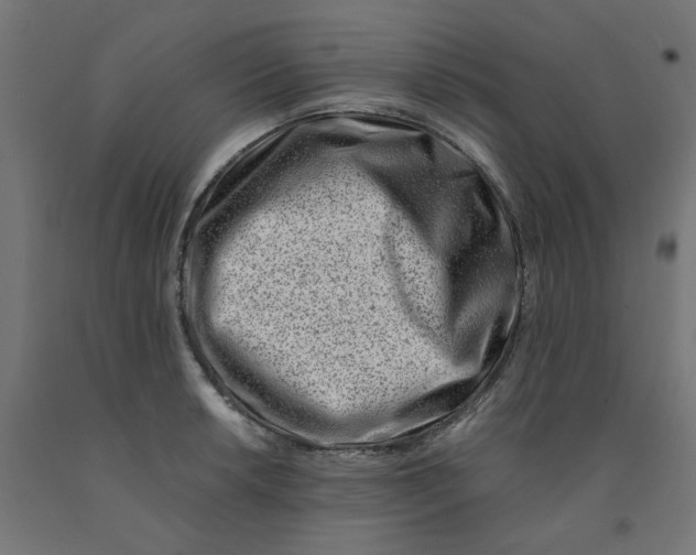 X0000090881042200708241936