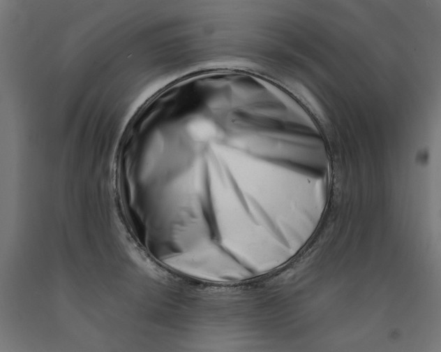 X0000090881044200708241936