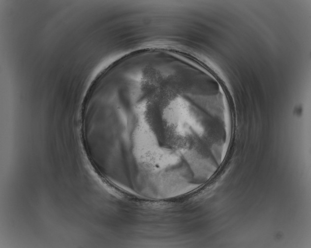 X0000090881045200708241936