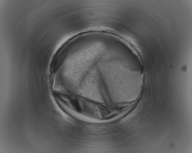 X0000090881046200708241936