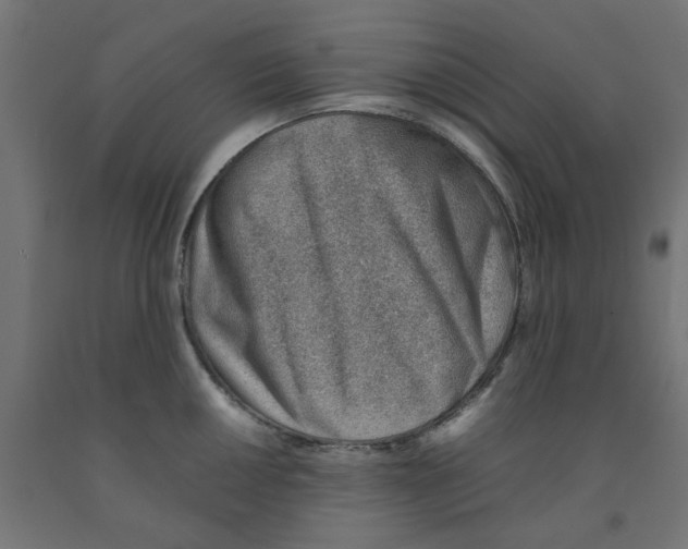 X0000090881050200708241936