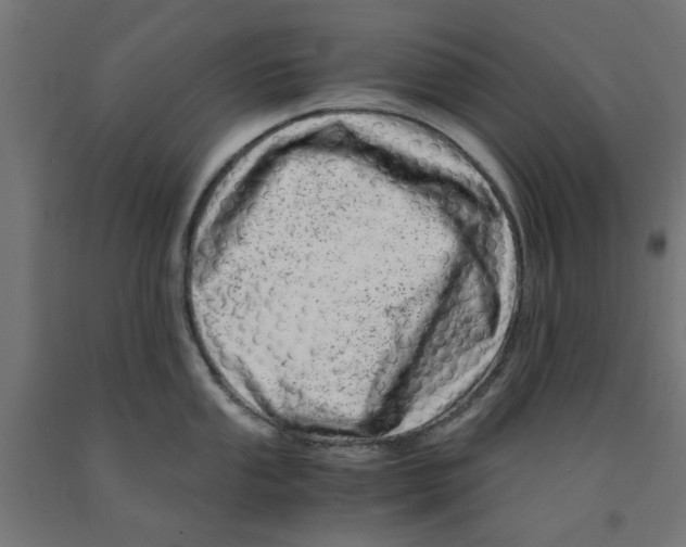 X0000090881053200708241936