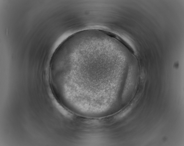 X0000090881054200708241936