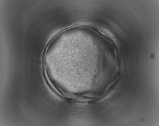 X0000090881055200708241936