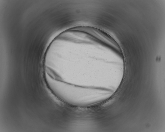 X0000090881056200708241936